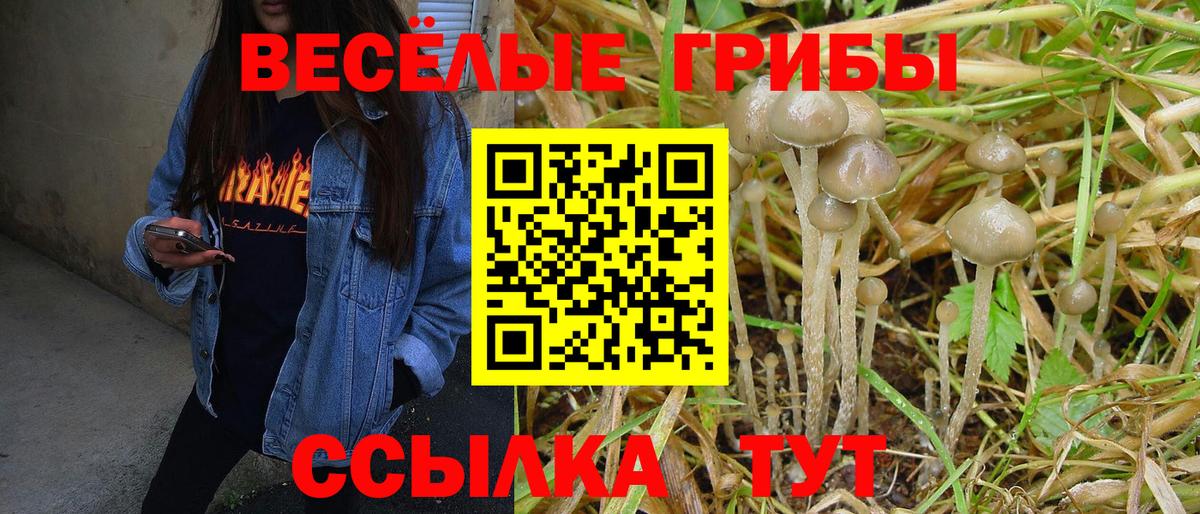 Уссурийск  Галлюциногенные грибы ЛСД  Вход с VPN 