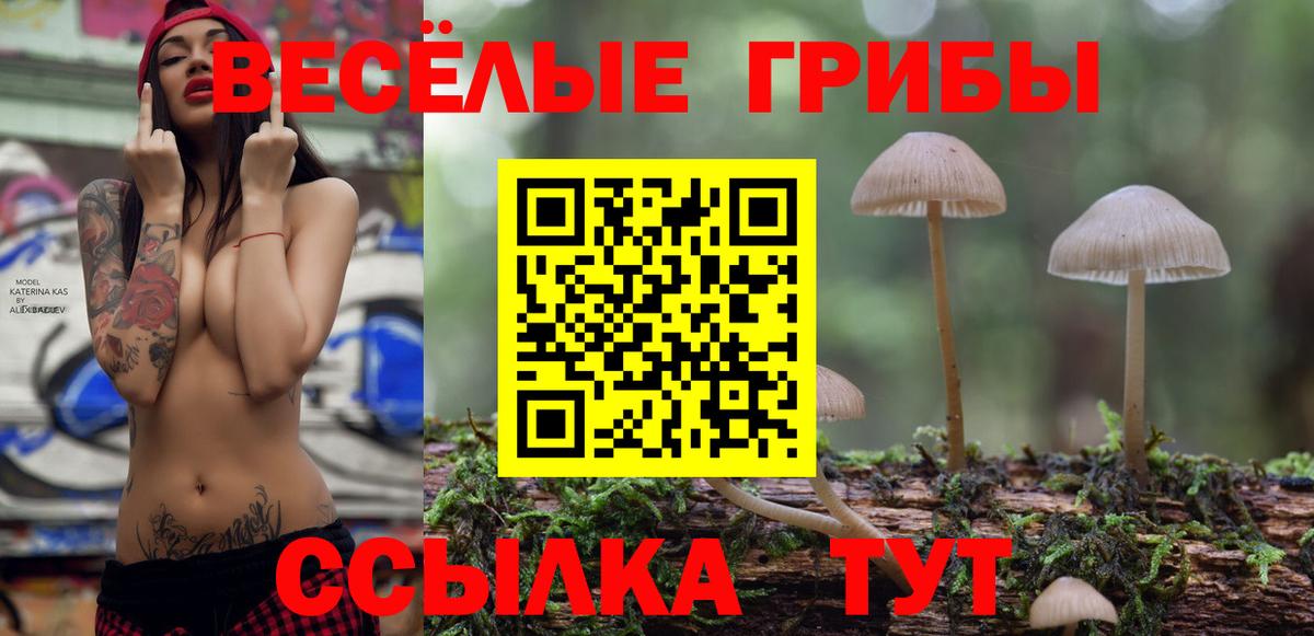 Галлюциногенные грибы Psilocybe Уссурийск